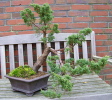 vorgestaltet, 2011 vorgestaltet, 2011