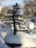 Winter 2009 Winter 2009